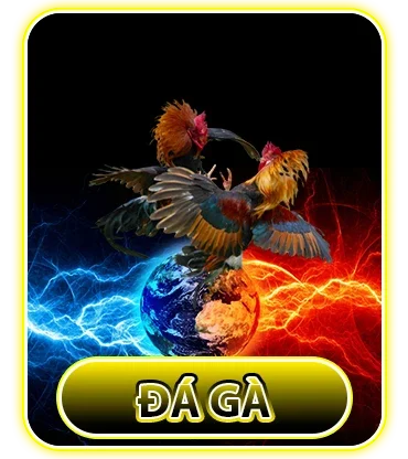 Đá gà SUNWIN